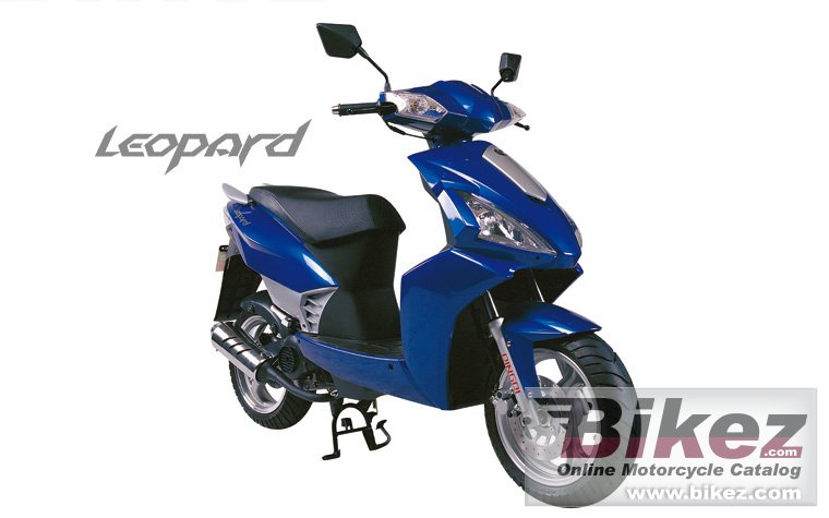 Big Qingqi leopard qm50t-8g picture and wallpaper from Bikez.com